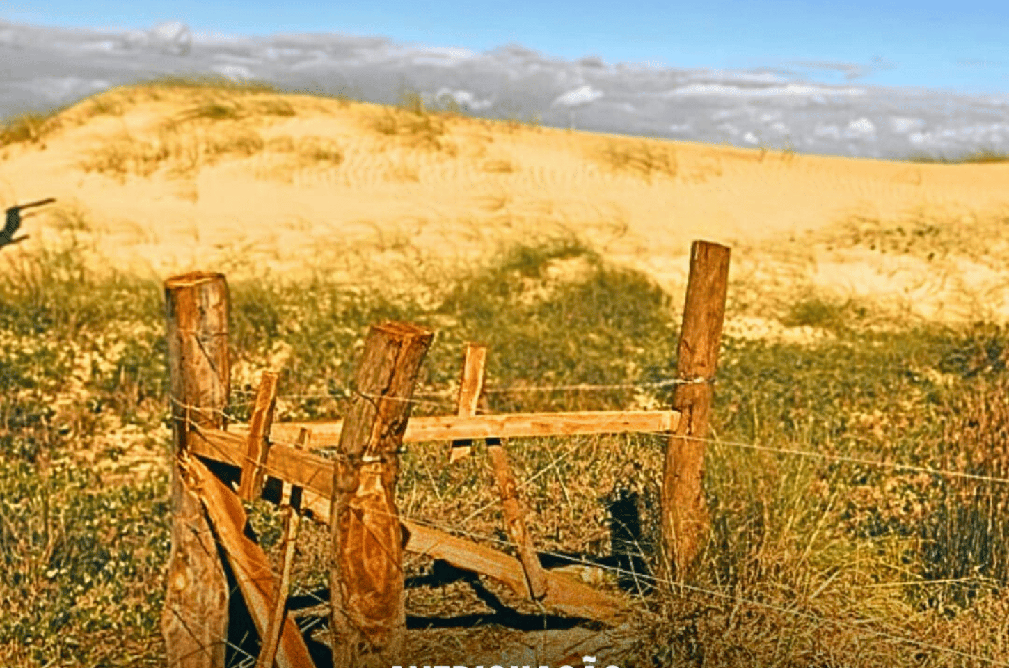 Brigada Militar realiza averiguação de loteamento irregular em área de APP em Tramandaí