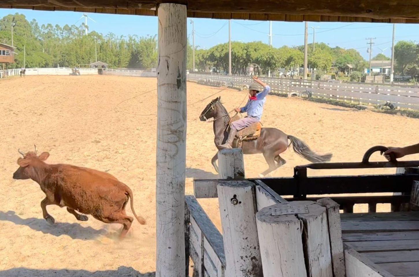 LAÇO INTEGRAÇÃO REUNIU 250 COMPETIDORES EM PROVAS CAMPEIRAS NO PARQUE DE RODEIOS JORGE DARIVA