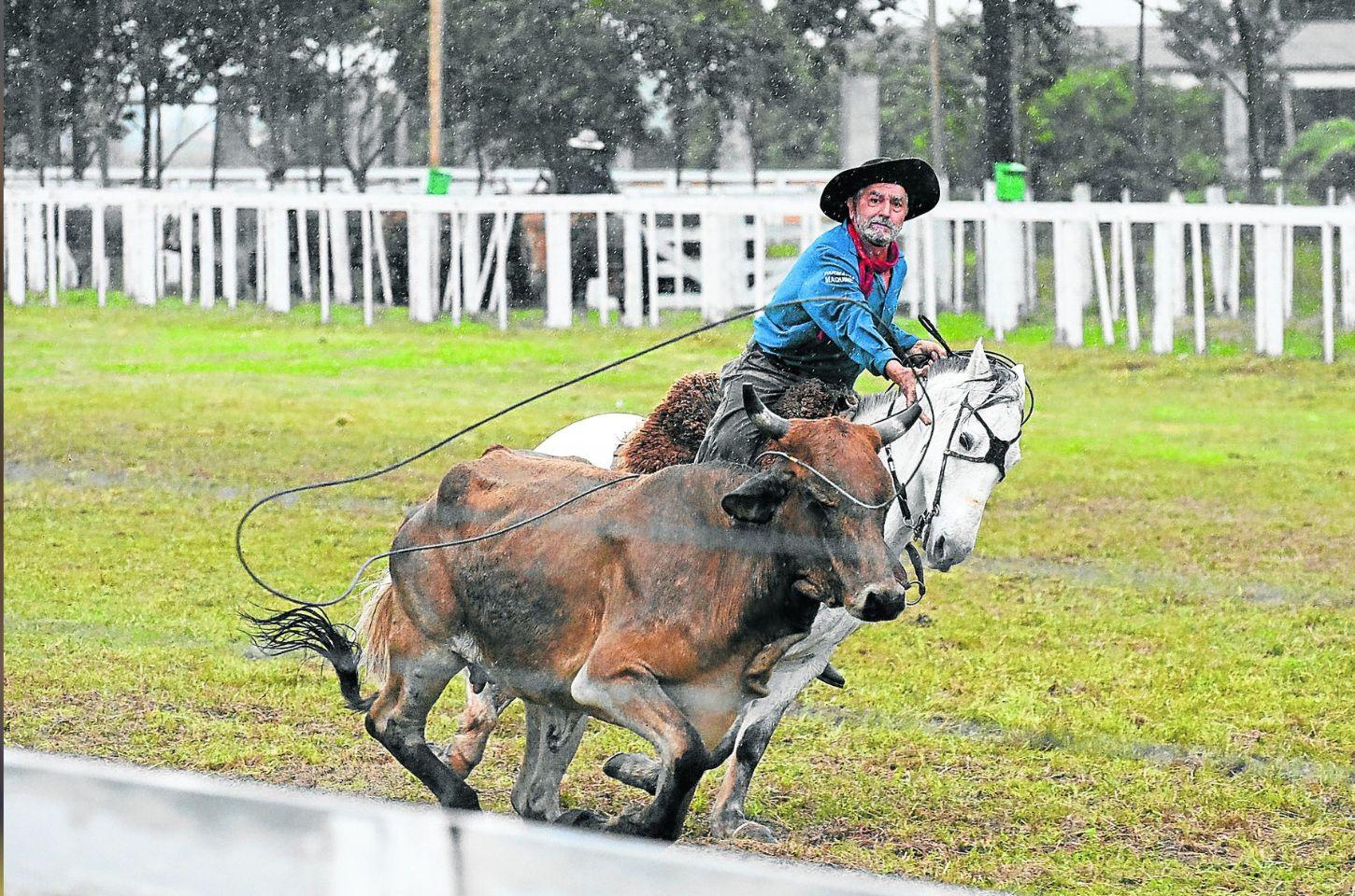 XVIII RODEIO CRIOULO INTERNACIONAL DE IMBÉ ACONTECE DE 08 A 11 DE MAIO
