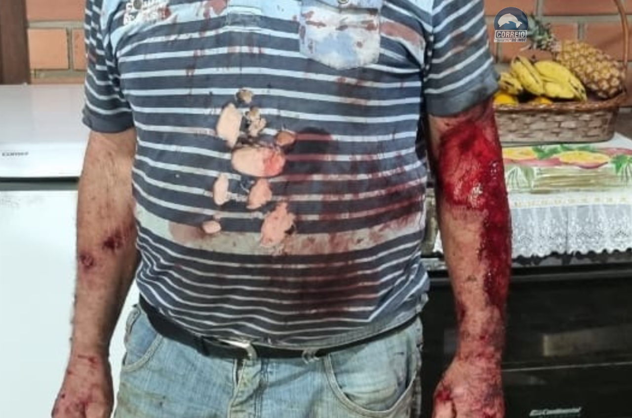 Ataque de Puma Assusta Morador em Propriedade Rural de Maquiné