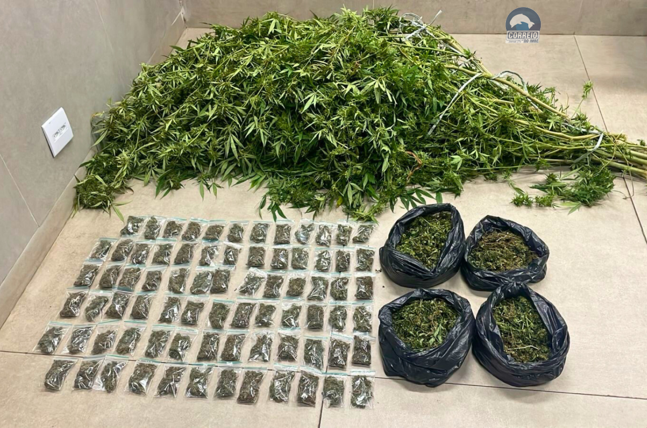 BM apreende maconha do tipo “camarão” em Maquiné