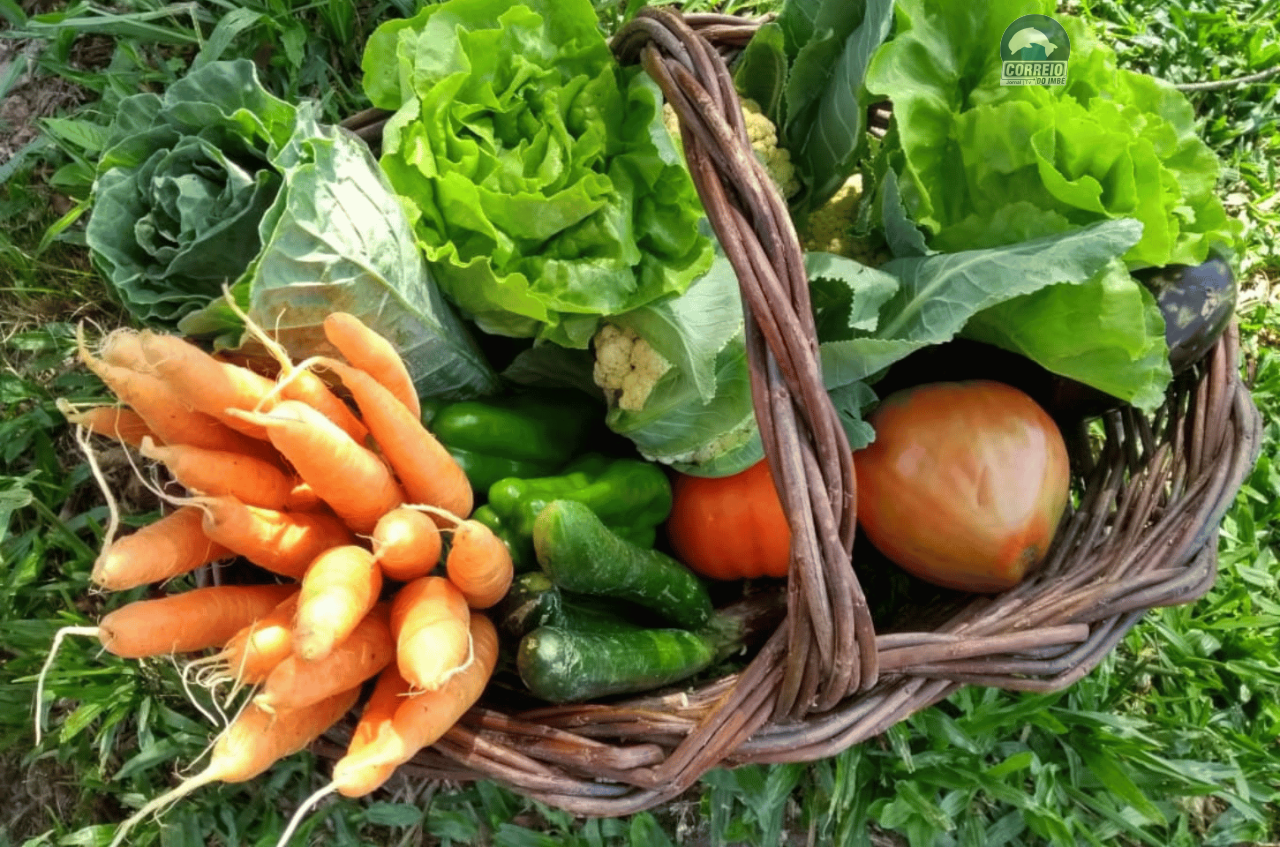 Deputados aprovam programa para recuperação da agricultura familiar, afetada por eventos climáticos