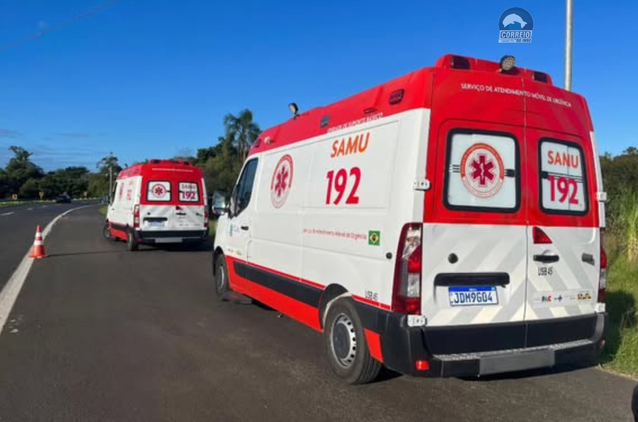 Homem morre após ataque de abelhas na Freeway, em Osório