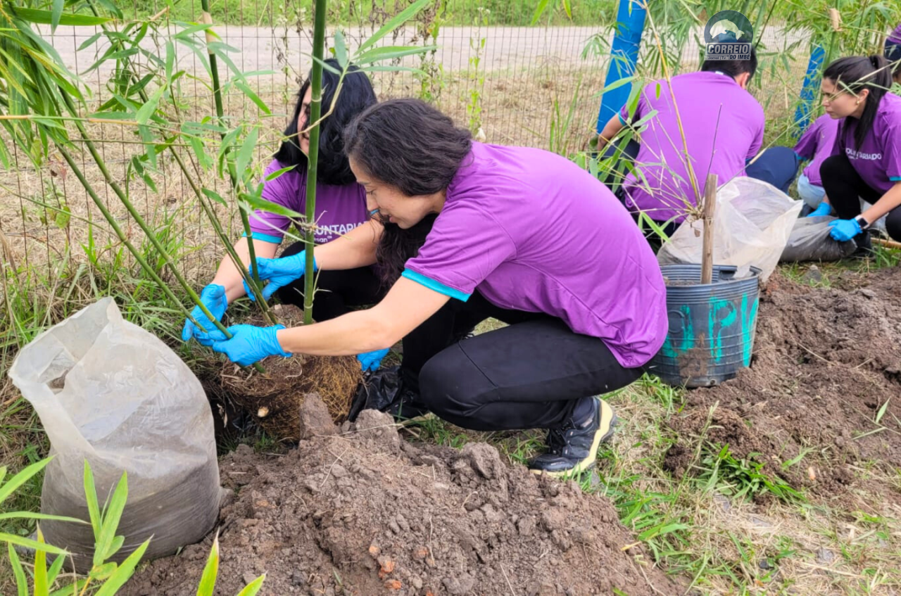 Voluntariado da Corsan amplia área verde de estação no Litoral com o plantio de 100 mudas de bambu