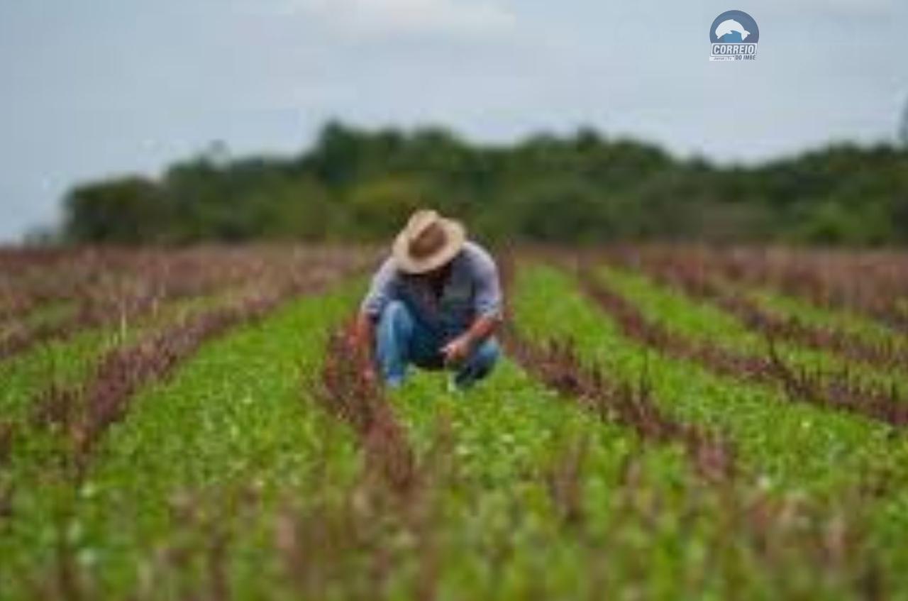 Banrisul anuncia suspensão da negativação de produtores rurais por 90 dias