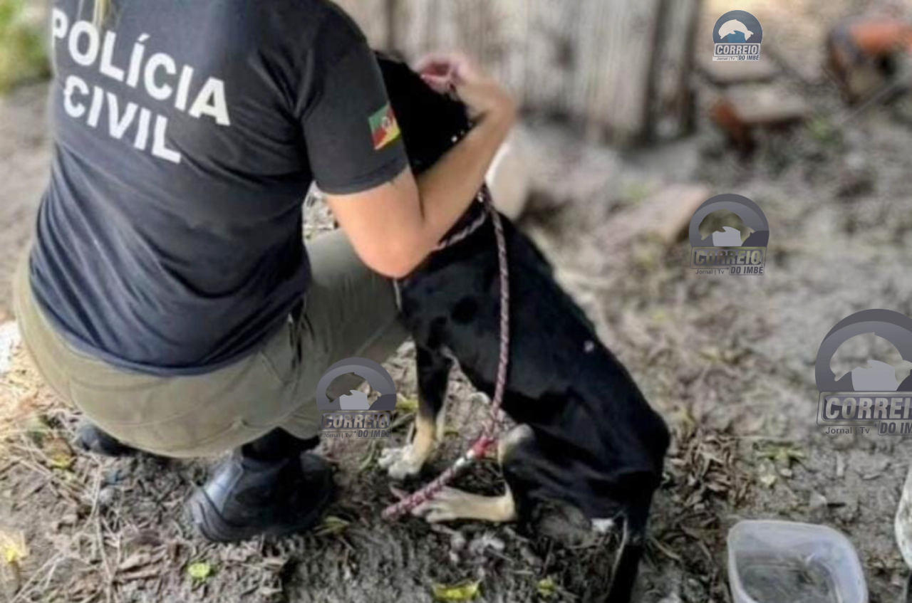 POLÍCIA CIVIL FISCALIZA LOCAIS DE MAUS TRATOS CONTRA ANIMAIS DOMÉSTICOS EM OSÓRIO