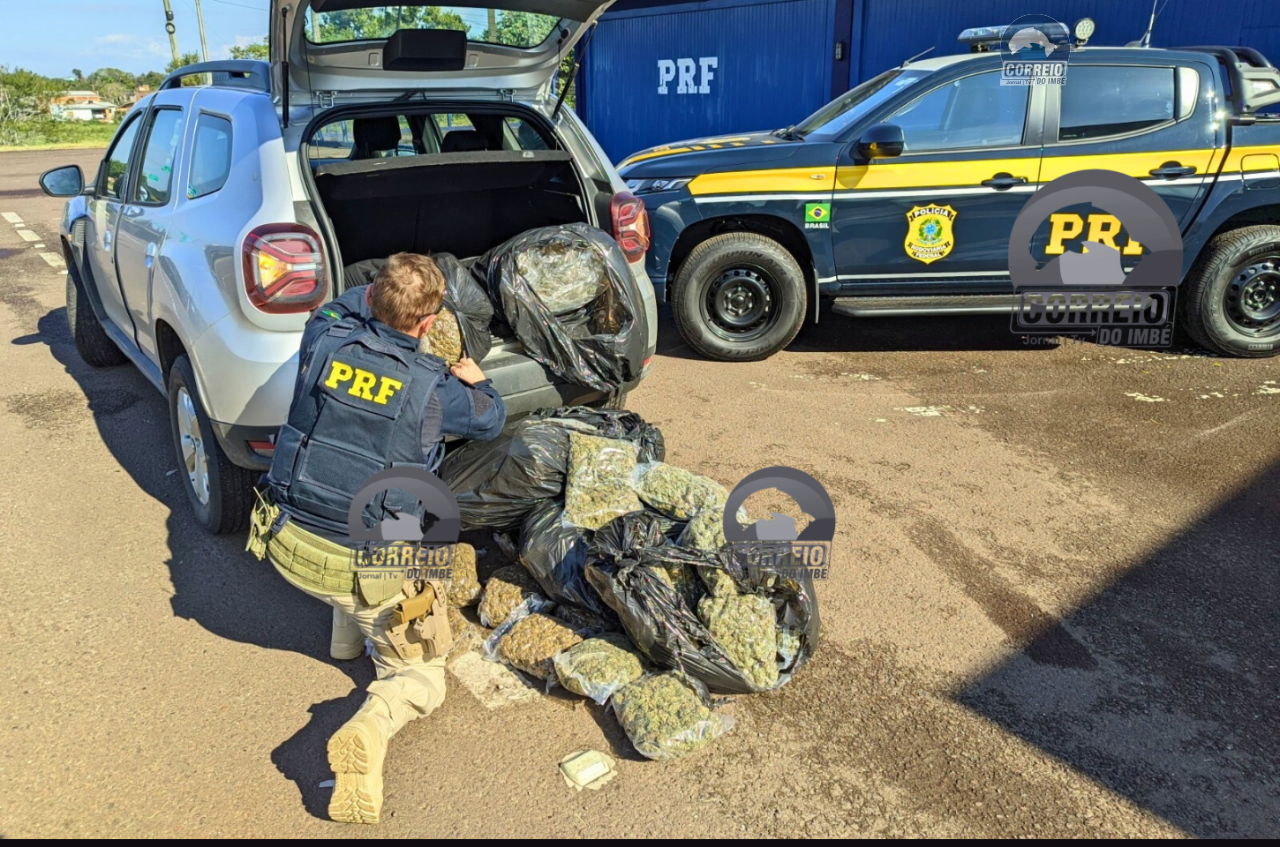 PRF prende homem com 37 kg de skunk em Torres