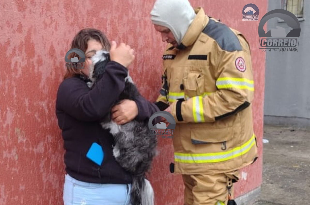Bombeiros resgatam cão durante incêndio em apartamento de Santo Antônio da Patrulha