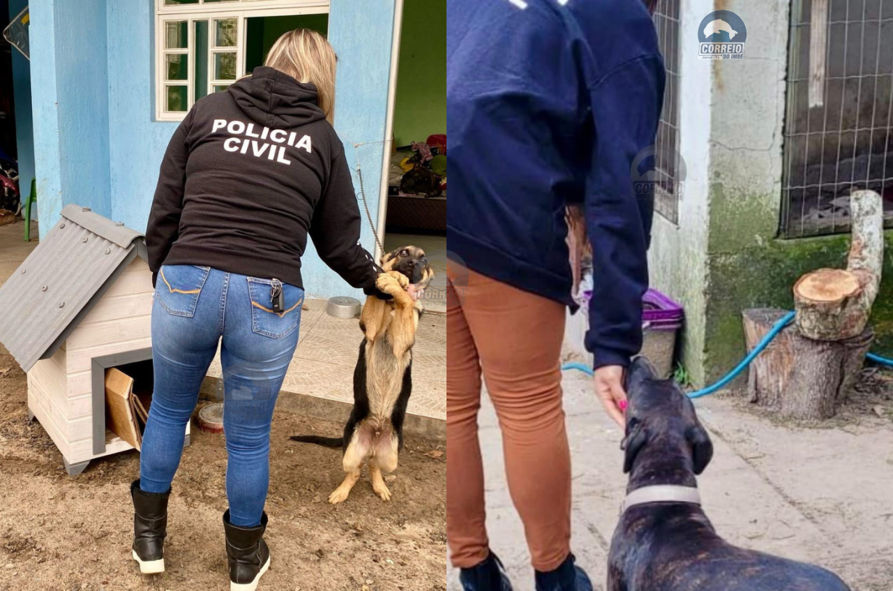 Polícia Civil fiscaliza locais de maus tratos contra animais domésticos em Osório