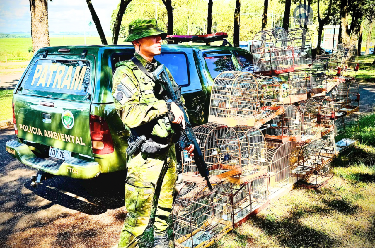 BRIGADA MILITAR APREENDE 271 PÁSSAROS MANTIDOS EM CATIVEIRO ILEGAL NO PRIMEIRO SEMESTRE DE 2025