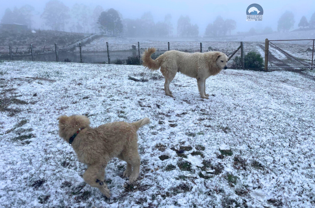 Neve e sensação térmica de -10°C marcam manhã gelada no Rio Grande do Sul