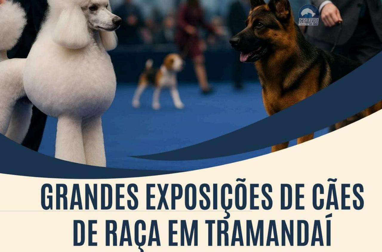 Tramandaí vai receber um verdadeiro espetáculo canino!