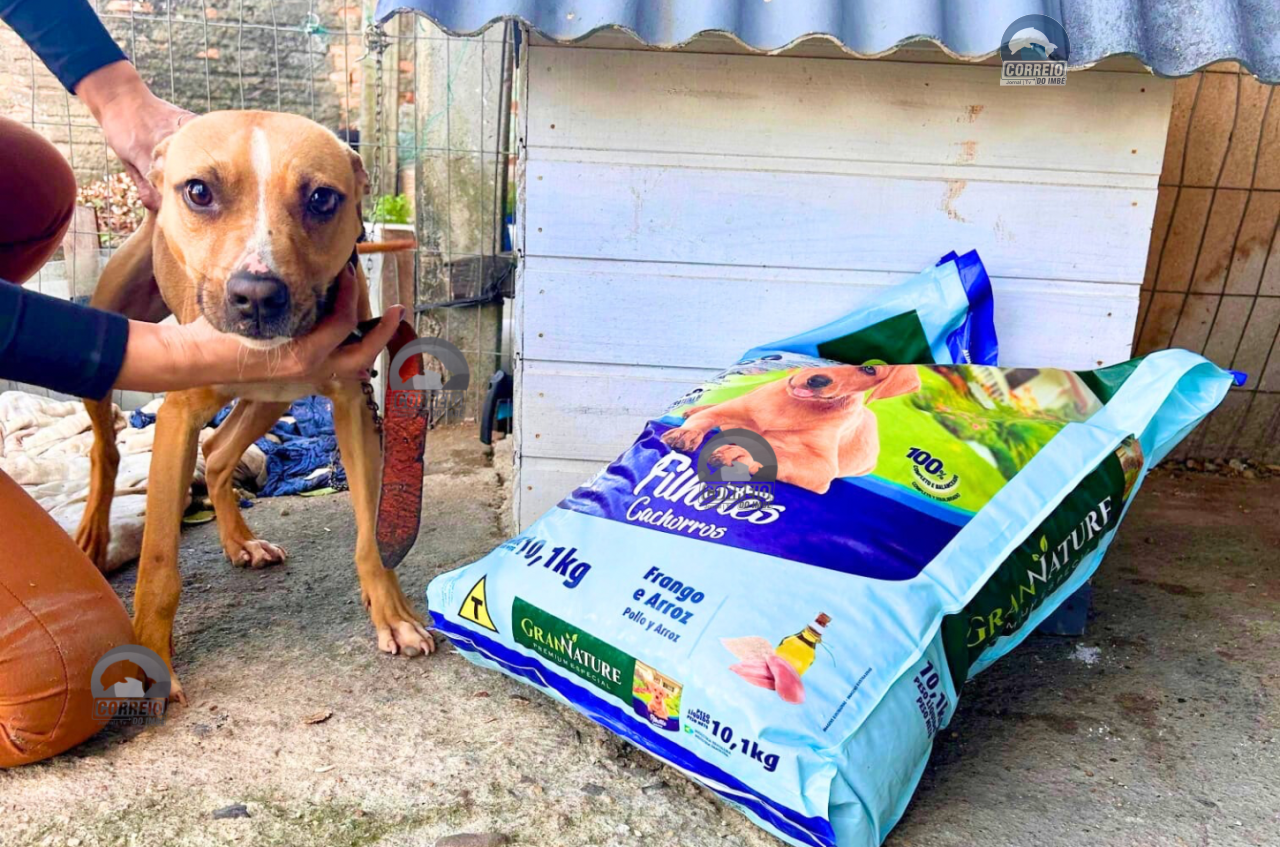 Polícia Civil fiscaliza locais de maus tratos contra animais domésticos e entrega abrigos para cães em Osório