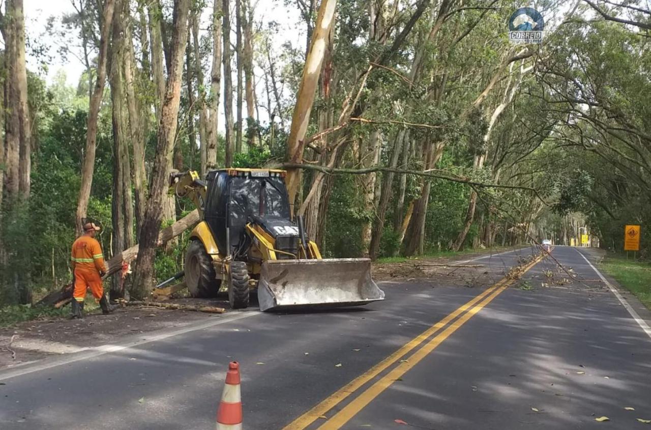 EGR realiza manejo de vegetação no Túnel Verde, na ERS-040