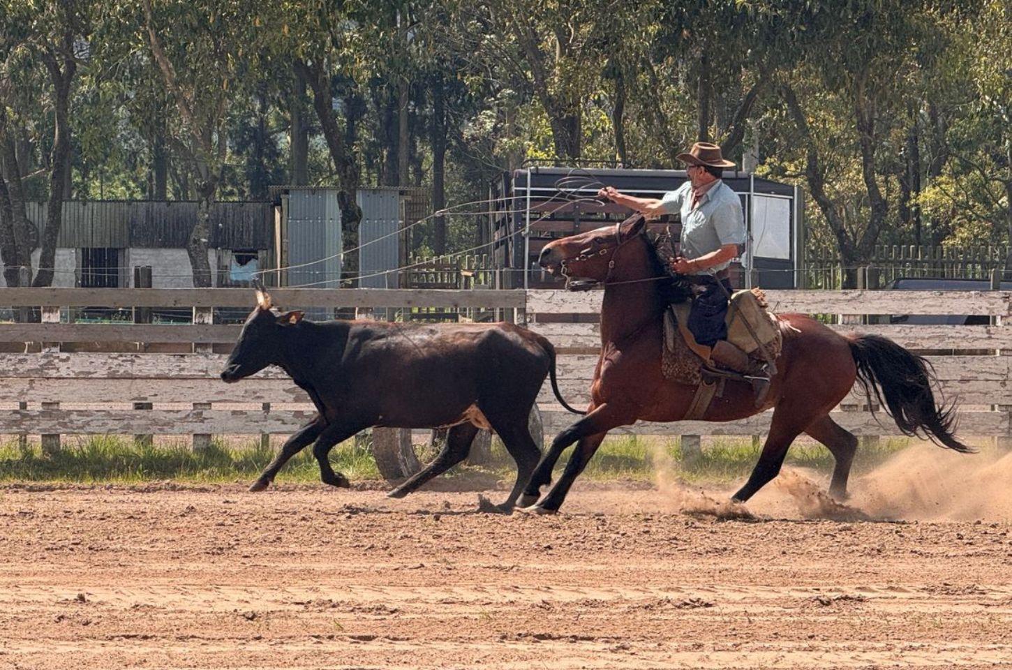 1ª Festa Campeira da Querência do Ouro Negro inicia nesta sexta-feira no Parque de Eventos Jorge Dariva