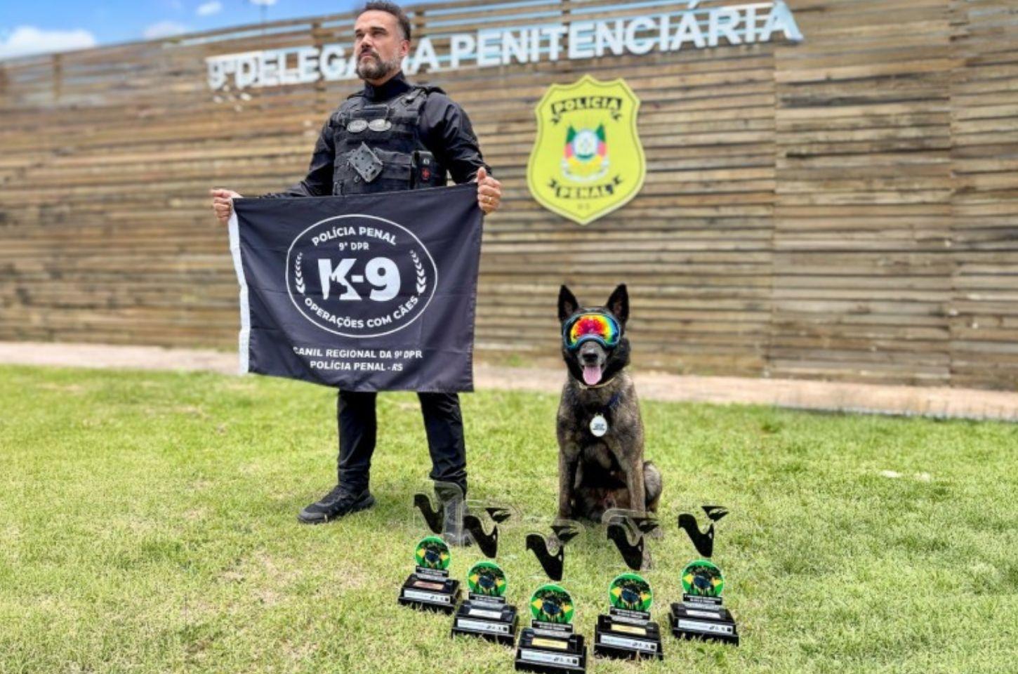 Governo do Estado tem o melhor cão de trabalho da América do Sul na Polícia Penal