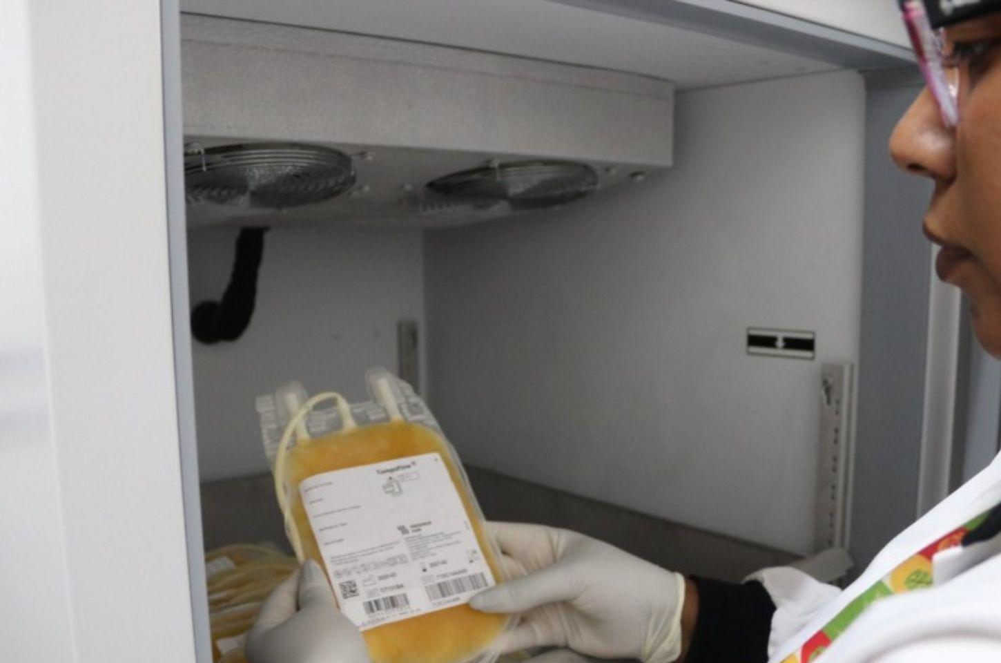 Hemocentro do RS moderniza armazenamento de plasma destinado à produção de medicamentos derivados de sangue