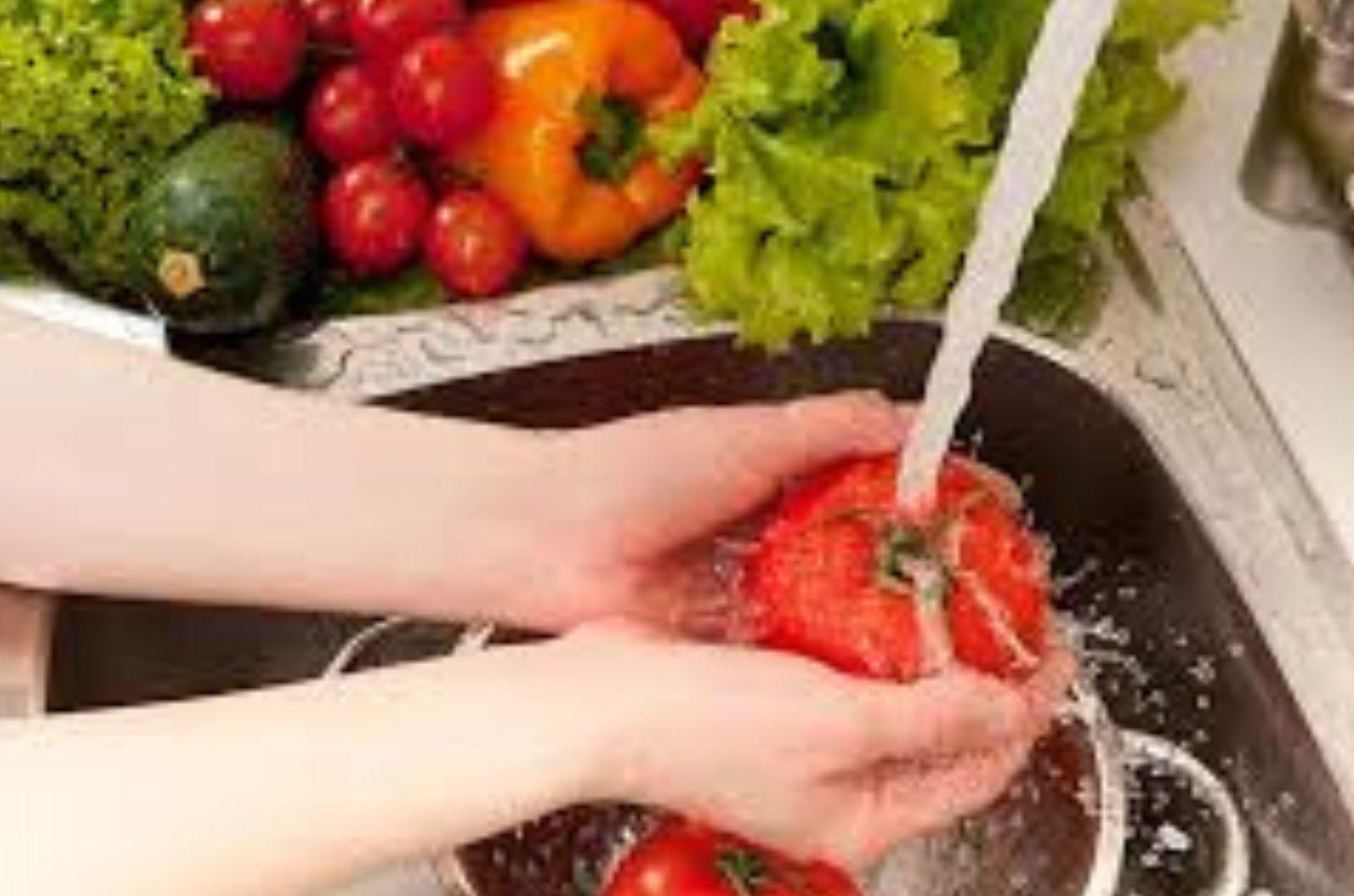 Prefeitura De Imbé Promove Encontro De Boas Práticas Alimentares