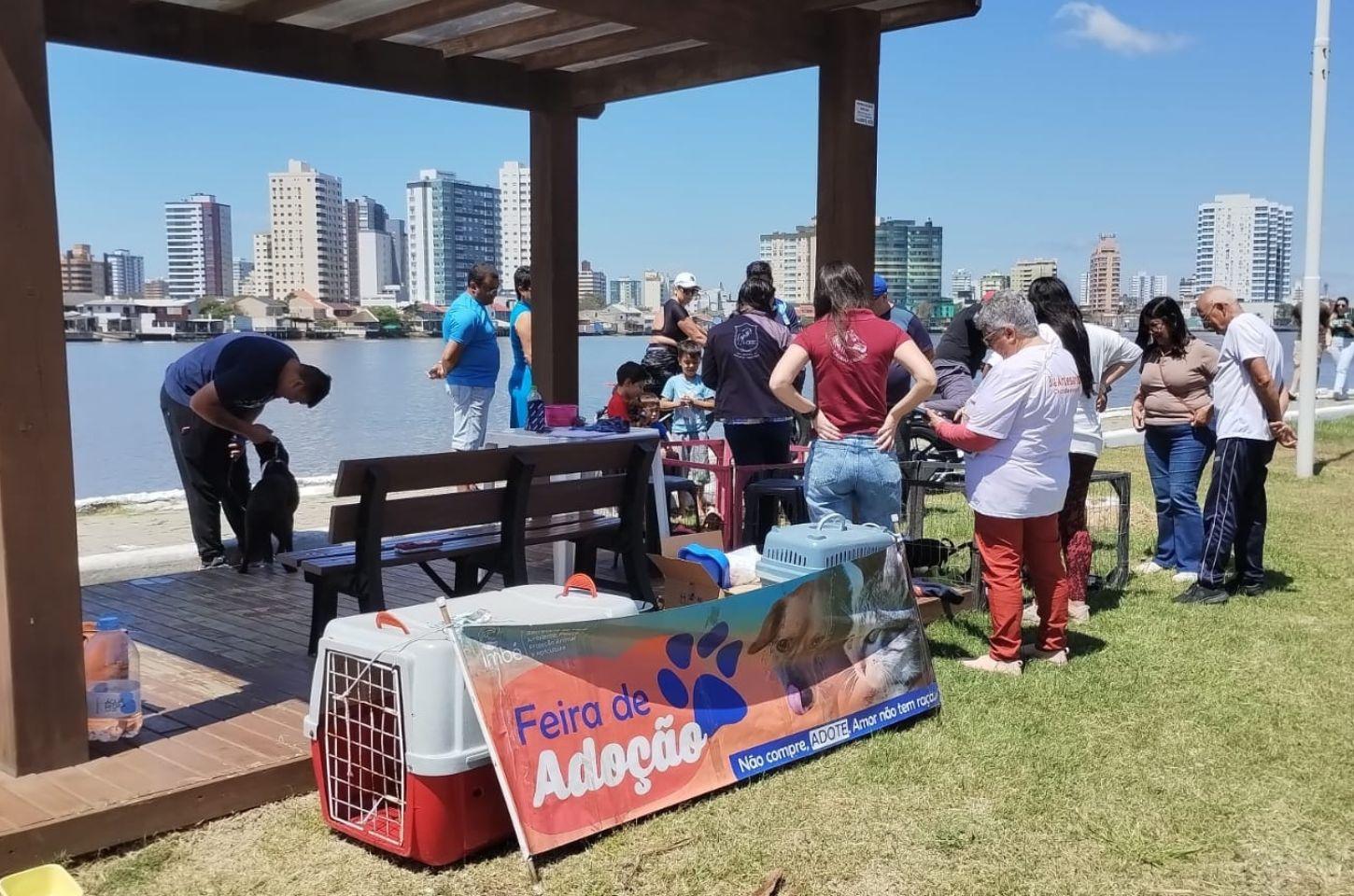 Sete Cães Ganharam Novos Lares Na Última Edição Da Feira De Adoção