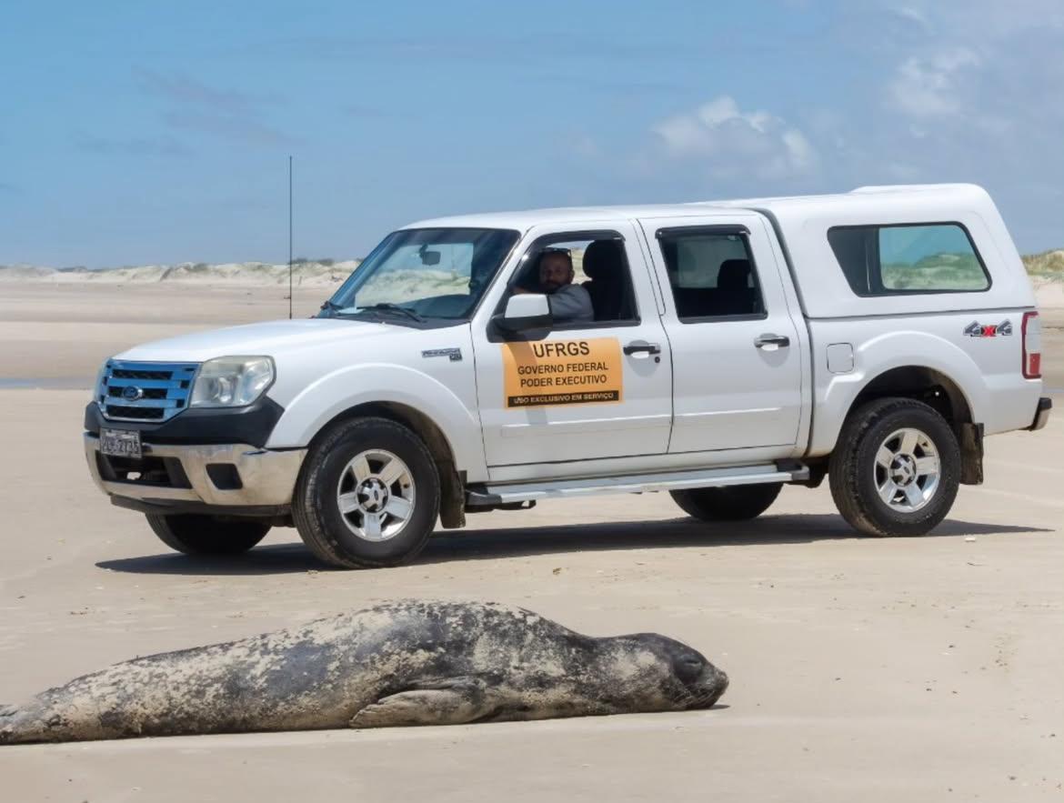 UFRGS abre processo seletivo com salários de até R$ 14 mil para projeto de monitoramento de praias