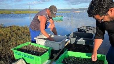 Desenvolve RS Rural Pescadores Artesanais destina mais de R$ 5 milhões para fortalecer a pesca artesanal no Estado
