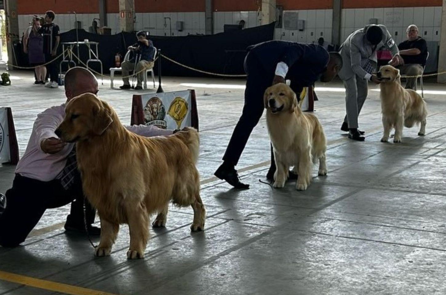 TRAMANDAÍ RECEBEU UM DOS MAIORES EVENTOS CINÓFILOS DO LITORAL NORTE! 🐶🐾