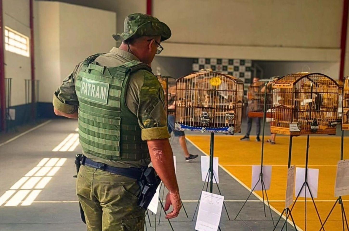 Brigada Militar, através do 1° BPAmb BM, durante a 56ª Operação Golfinho 2025–2026, realiza fiscalização em torneio de canto de pássaros