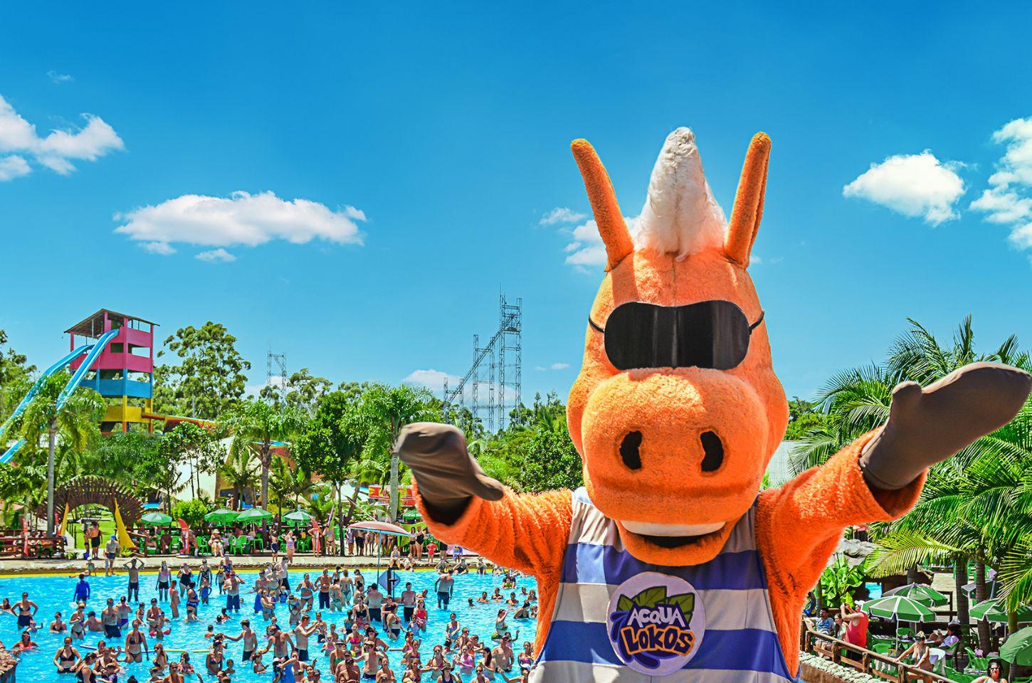 Acqua Lokos celebra 29 anos com entrada gratuita para quem também faz 29