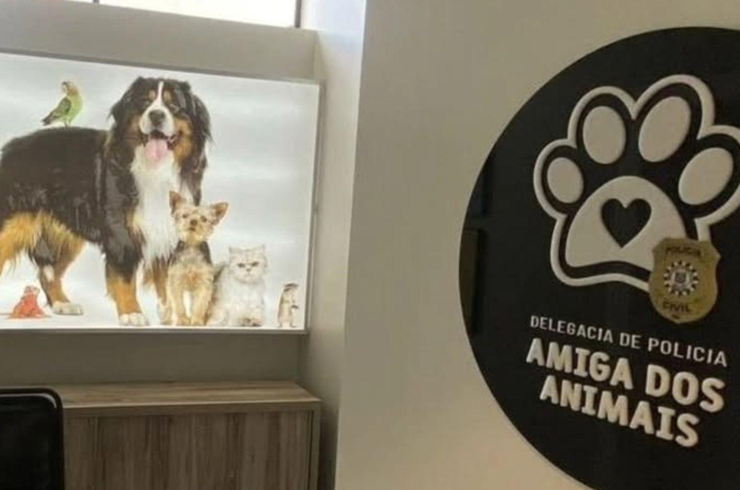 Polícia Civil fiscaliza locais de maus tratos contra animais em Osório e no distrito de Atlântida Sul