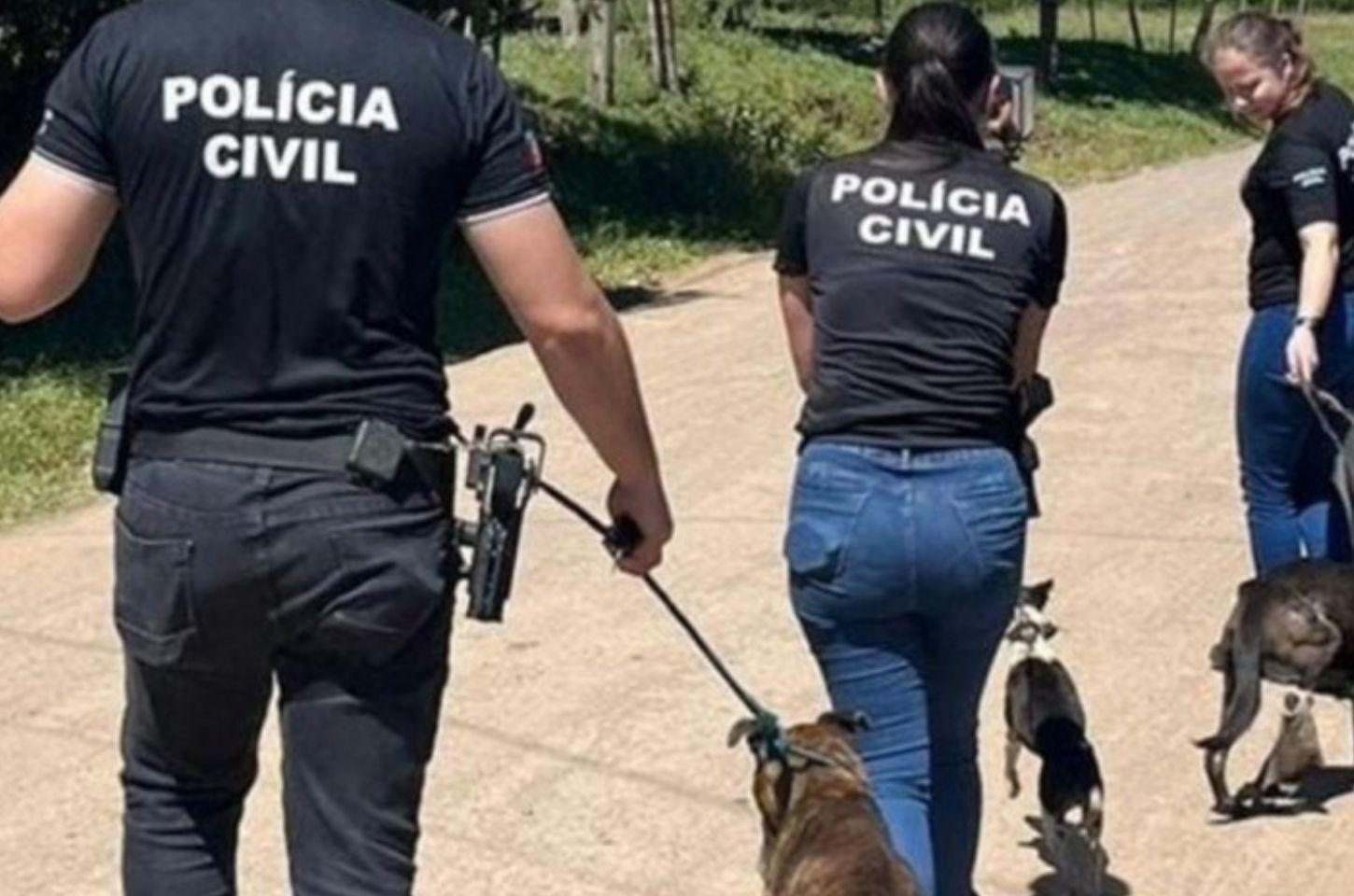 Rio Grande do Sul conta com 62 delegacias com o selo Amiga dos Animais para investigar casos de maus-tratos