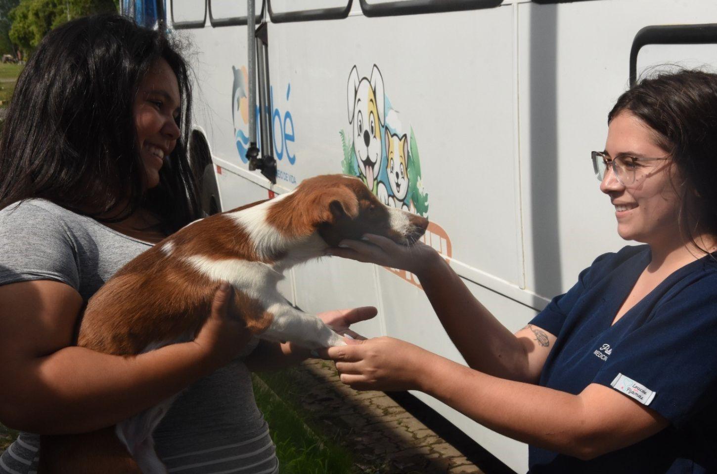 Depan realizará 1º mutirão de castração de fêmeas em Imbé