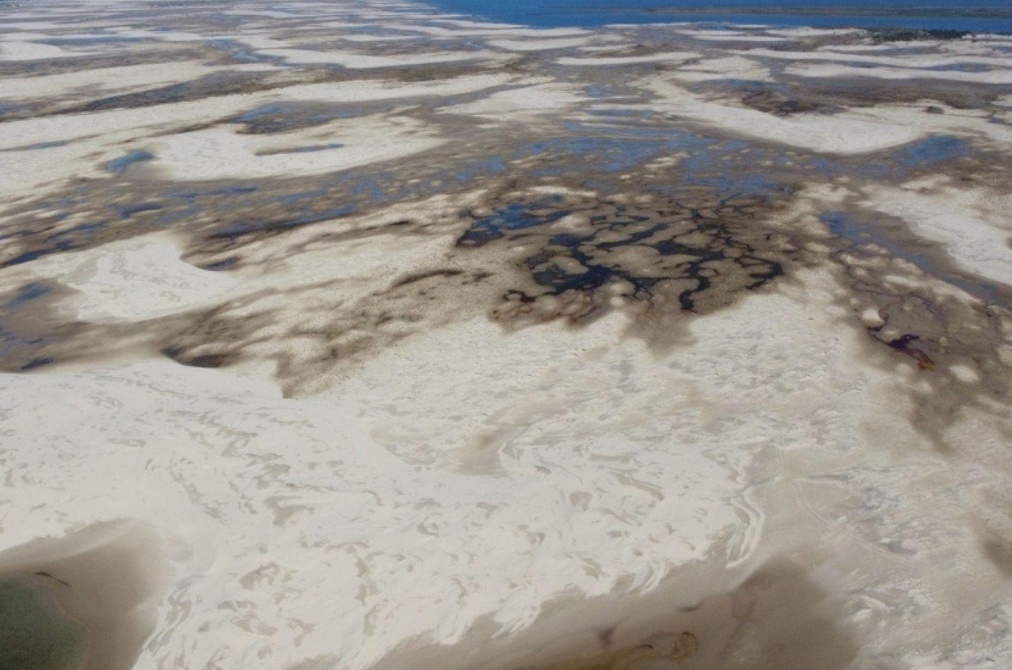 Dunas de Cidreira Podem se Tornar Área de Conservação.