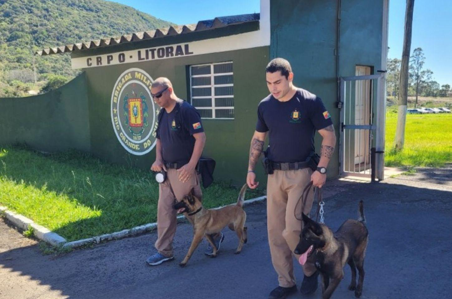 Investimentos do governo do Estado e integração das forças de segurança reduzem criminalidade no Litoral Norte