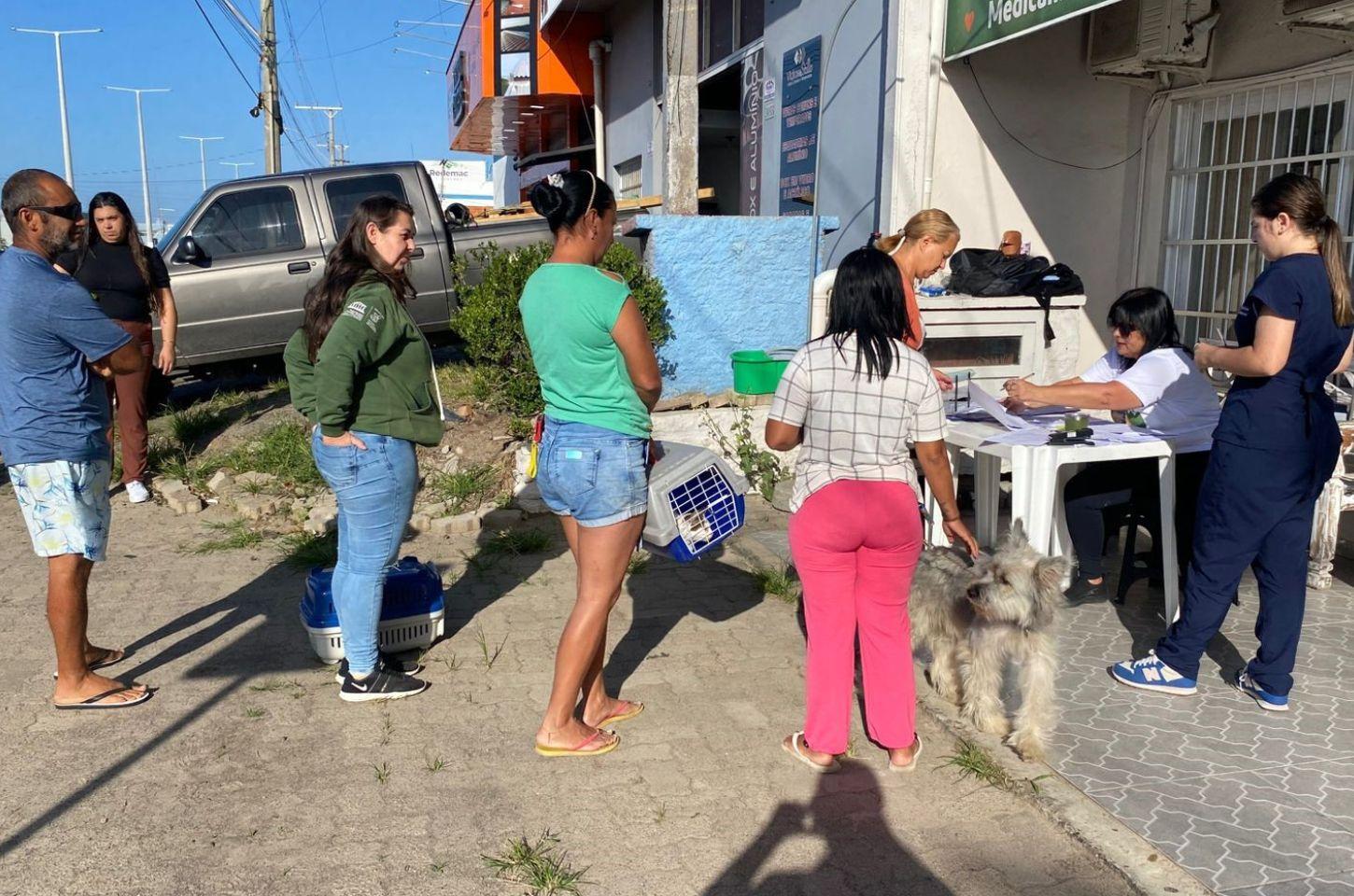 Mutirão castra 84 animais em Imbé