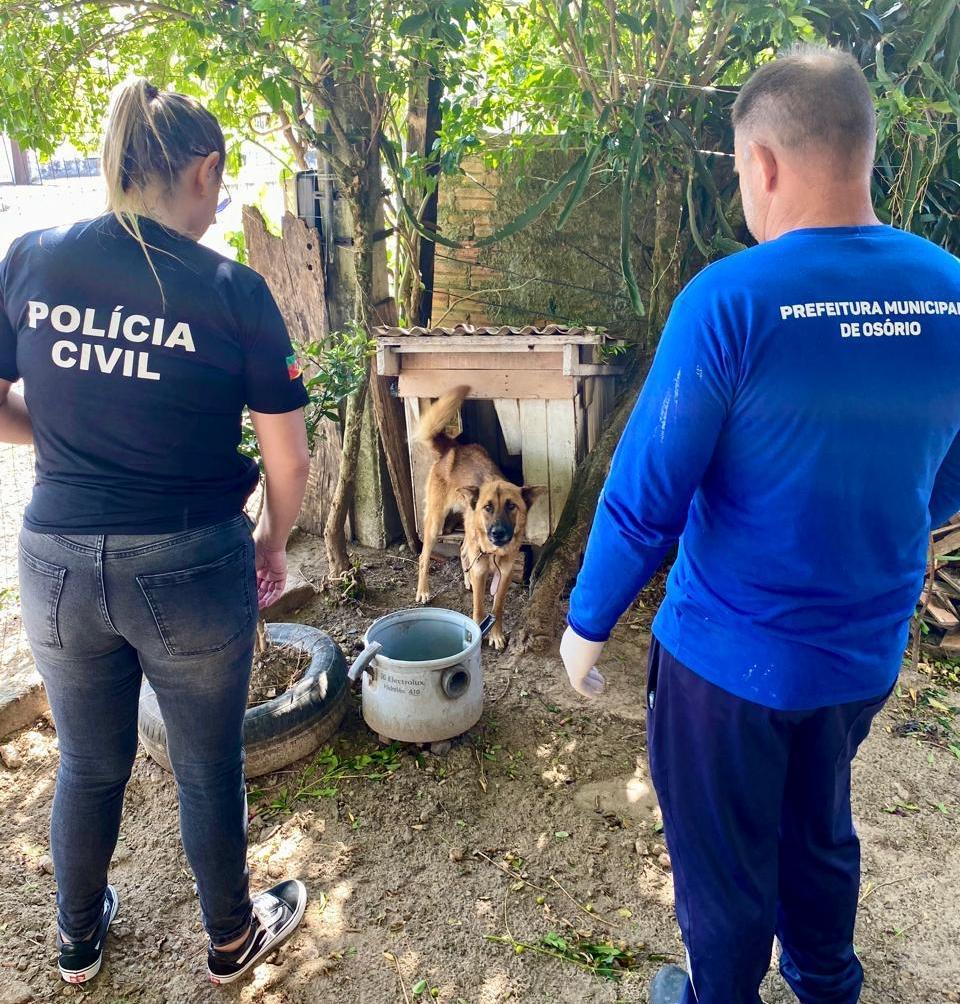 POLÍCIA CIVIL PRENDE HOMEM POR MAUS TRATOS CONTRA CÃES DOMÉSTICOS EM OSÓRIO