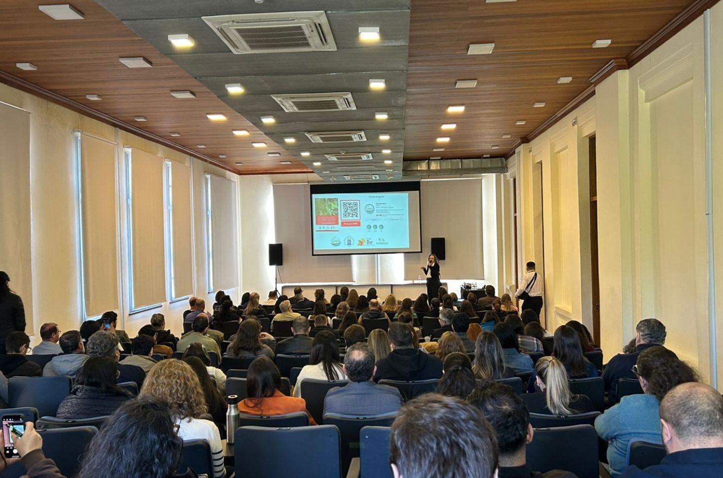 Projetos de restauração ecológica apoiados pela CEEE Equatorial são destaque em jornada sobre flora invasora 