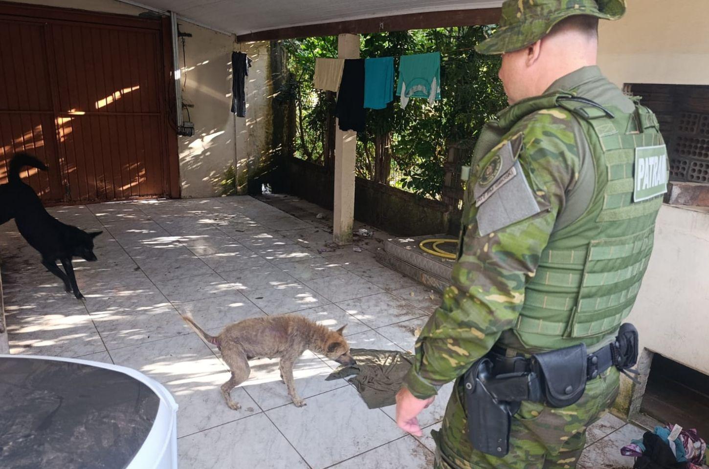 BRIGADA MILITAR PRENDE HOMEM EM FLAGRANTE POR MAUS-TRATOS A CÃO EM TORRES