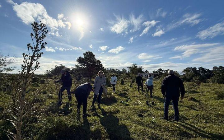 🌱 TORRES PLANTA 30 MUDAS NATIVAS ÀS MARGENS DO RIO MAMPITUBA!
