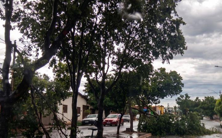 CEEE Equatorial reforça orientações de segurança diante  de temporais no Rio Grande do Sul 