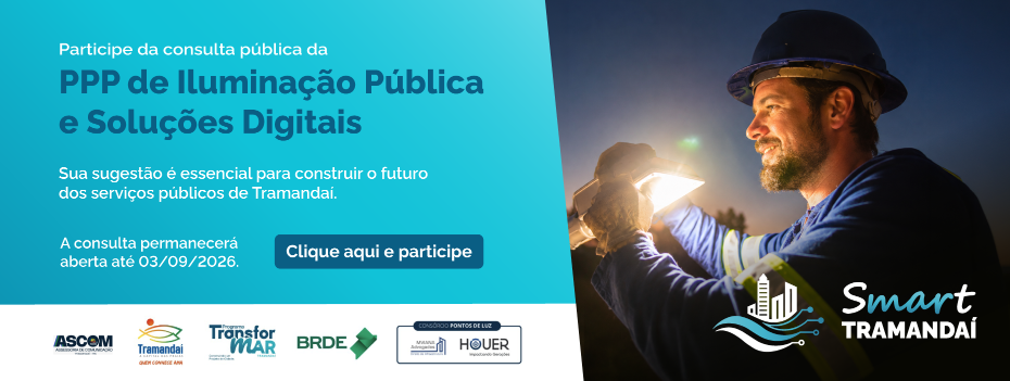Publicidade