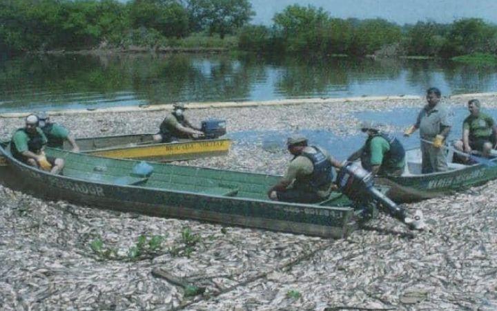 Ação do MPRS resulta em condenação de R$ 8,3 milhões por mortandade de peixes no Rio dos Sinos