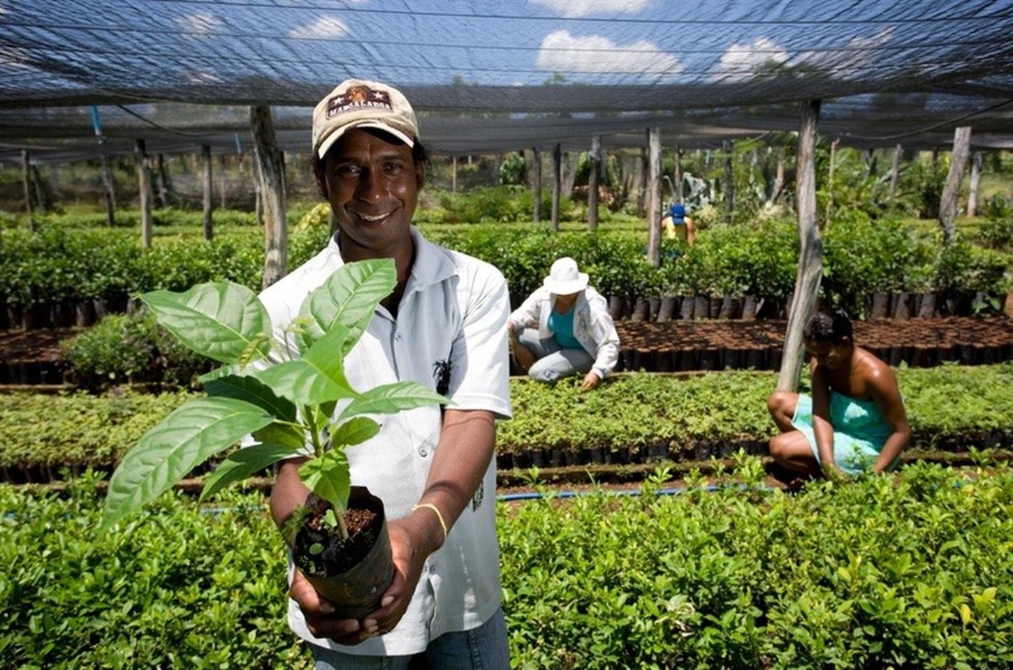 No Rio Grande do Sul, órgãos públicos já contrataram mais de R$ 4,1 milhões de microempreendedores e agricultores familiares pelo Contrata+Brasil