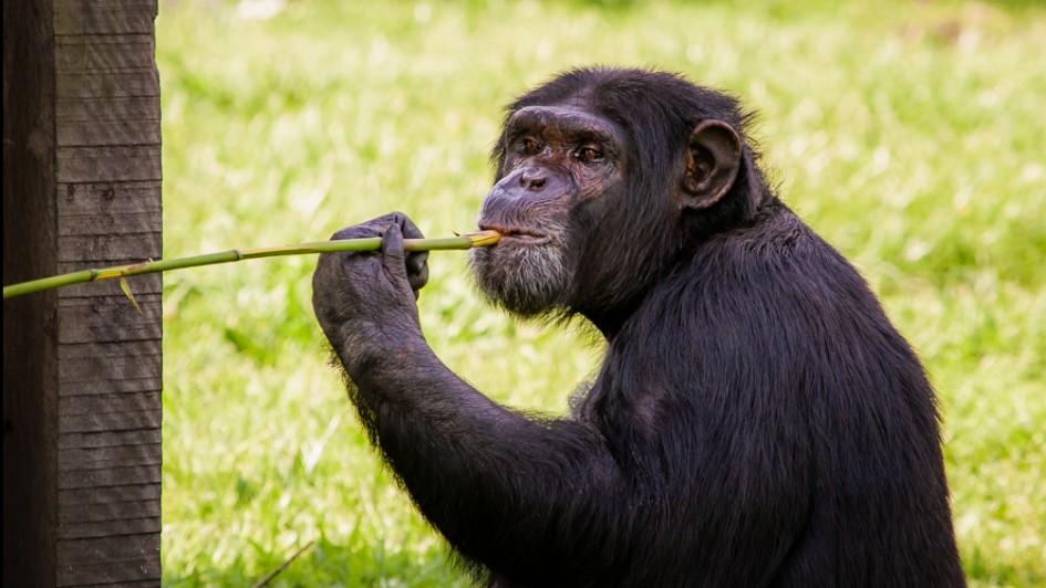 Parque Zoológico abre normalmente no Dia das Crianças (12)