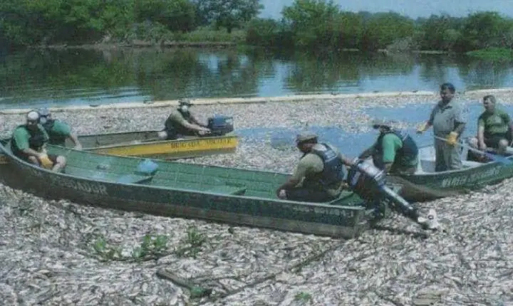 Ação do MPRS resulta em condenação de R$ 8,3 milhões por mortandade de peixes no Rio dos Sinos