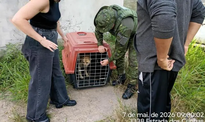 BRIGADA MILITAR PRENDE HOMEM EM FLAGRANTE POR MAUS-TRATOS A CÃO EM TORRES