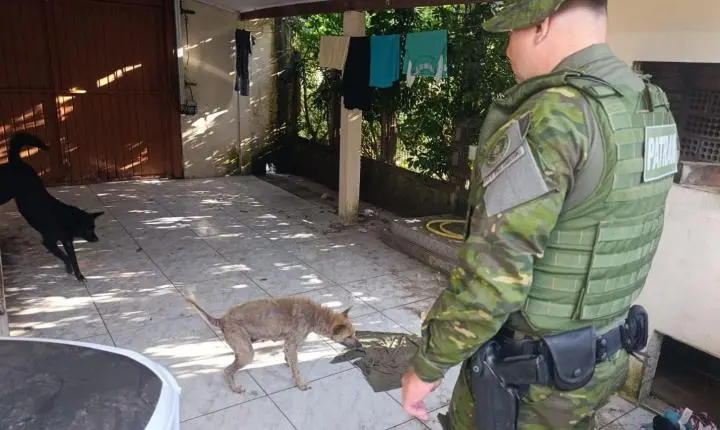 BRIGADA MILITAR PRENDE HOMEM EM FLAGRANTE POR MAUS-TRATOS A CÃO EM TORRES