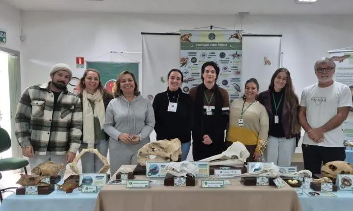 Coleta de lixo eletrônico ocorre nesta quarta-feira no largo, na Semana de Meio Ambiente de Osório