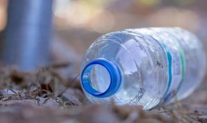 Corsan mobiliza voluntariado para ação do Dia Mundial da Limpeza