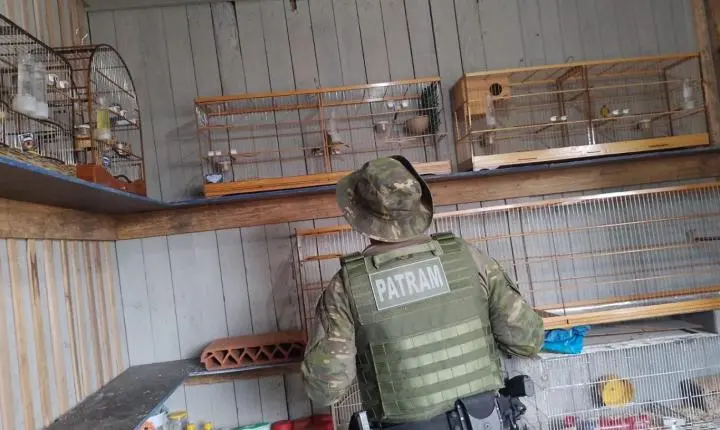 Fiscalização ambiental da Brigada Militar no Litoral Norte e Região Metropolitana alcança mais de 30 animais entre resgates e apreensões