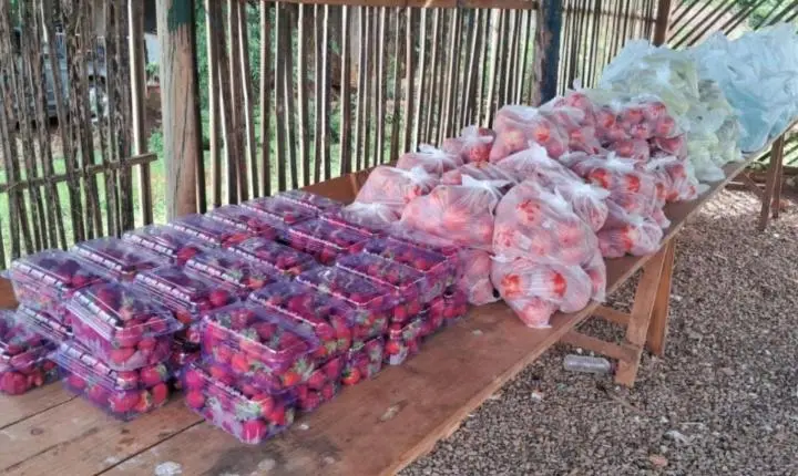 Governo do Estado atinge R$ 1 milhão em repasses para o Programa de Aquisição de Alimentos na modalidade Indígena